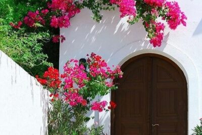 Rhodes, Lindos and Medieval City Guided Tour from Cruise Port - The Lindos Drive: Comfort, Shade, and Real Island Views