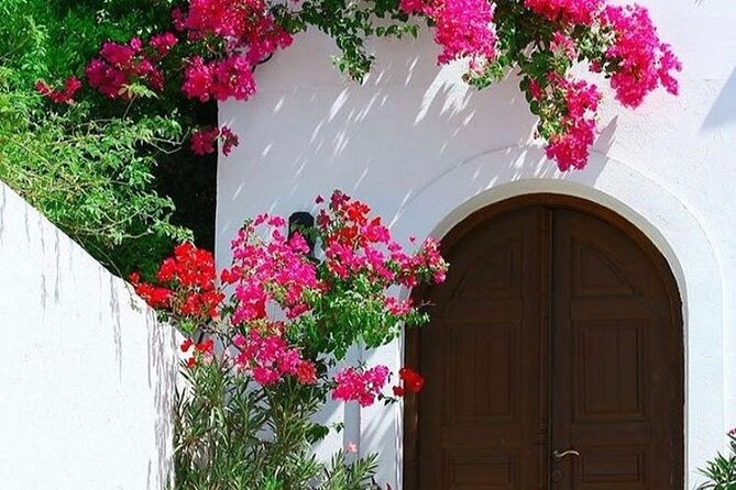 Rhodes, Lindos and Medieval City Guided Tour from Cruise Port - The Lindos Drive: Comfort, Shade, and Real Island Views