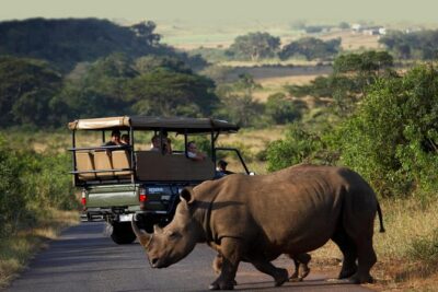 Richards Bay Shore Excursion: Private Small Group Hluhluwe Safari - Why Hluhluwe iMfolozi feels like a real safari day