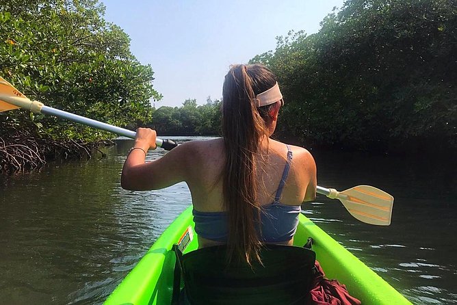 Roatan Shore Excursion: Kayak Harbor Adventure and Reef Snorkel - French Cay Harbor Kayaking: A Cruise Day That Feels Local