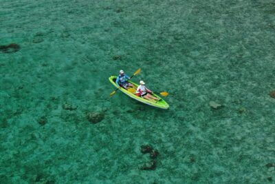 Roatan Shore Excursion: Kayak Harbor Adventure and Reef Snorkel - The Kayak Portion: Mangroves, Harbor Wildlife, and Real Paddling Time