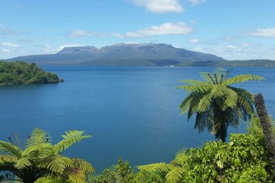 Rotorua Highlights Tour - Sulphur Point and Government Gardens: first hits without getting tired