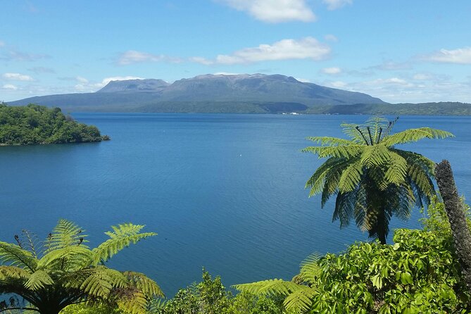 Rotorua Highlights Tour - Sulphur Point and Government Gardens: first hits without getting tired