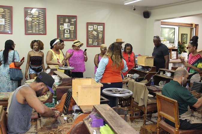 Rums and Reggae Tour (Shore Excursion) - Practical Tips for a Smooth Half-Day (and a Better Time)