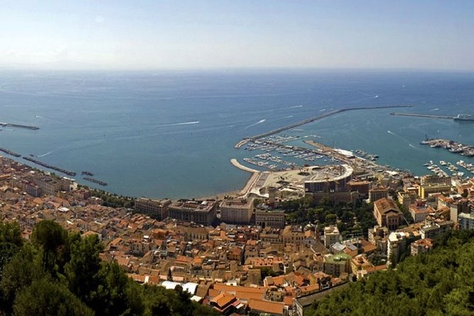 Salerno Shore Excursion: Private Pompeii Tour - Port pickup and the 30-minute run to Pompeii