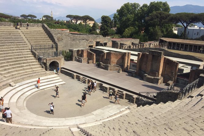 Salerno Shore Excursion: Private Pompeii Tour - Timing, walking, and how “private” changes your day