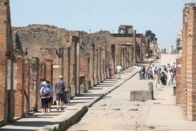 Salerno Shore Excursion: Private Pompeii Tour - Price and value: what $288.85 really buys