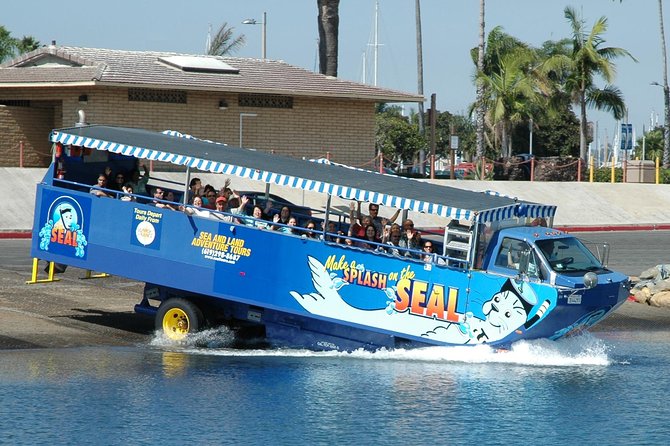 San Diego Shore Excursion: San Diego Seal Tour - Key things to know before you go