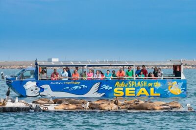San Diego Shore Excursion: San Diego Seal Tour - The land portion along Harbor Drive: stories you can actually use