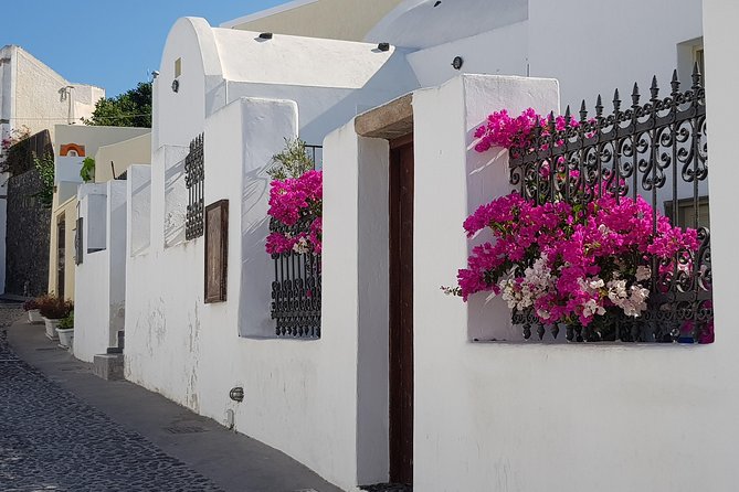 Santorini: 6hr Small Group Shore Excursion Villages & Wine - Anhydrous Winery Tasting: Wine and Food Pairing, Not Just a Talk