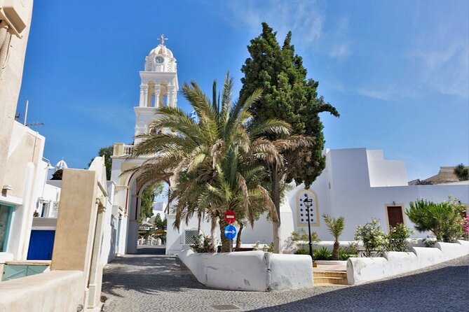 Santorini Shore Excursion in Style- by the Katsipis Family - Megalochori for calmer streets and real food time