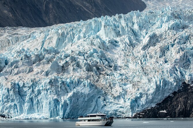 Seward Shore Excursion: Pre- or Post-Cruise Kenai Fjords National Park Tour - Key Points You’ll Care About Most