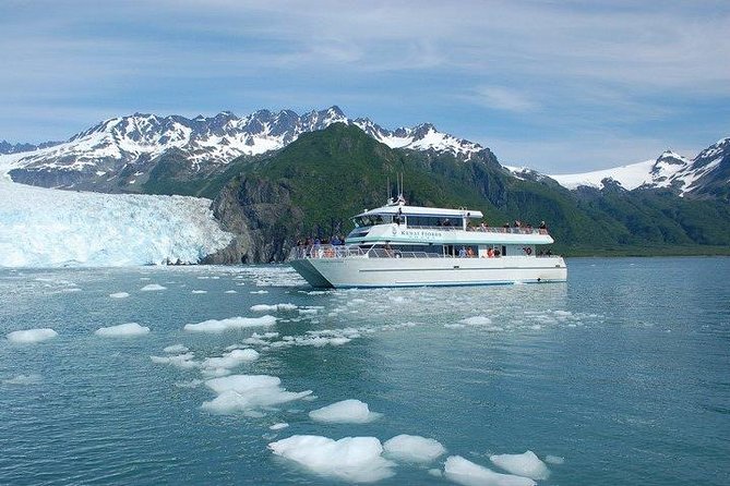 Seward Shore Excursion: Pre- or Post-Cruise Kenai Fjords National Park Tour - What This Seward Kenai Fjords Cruise Really Delivers