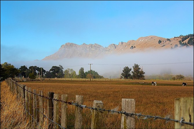 Shore Excursion: 4-Hour Discover Hawkes Bay and Napier Tour - Te Mata Peak: The 360-Degree Hawke’s Bay View Moment