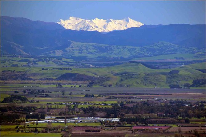 Shore Excursion: 4-Hour Discover Hawkes Bay and Napier Tour - Live Commentary, Local Guides, and How the Stories Make the Route Worth It