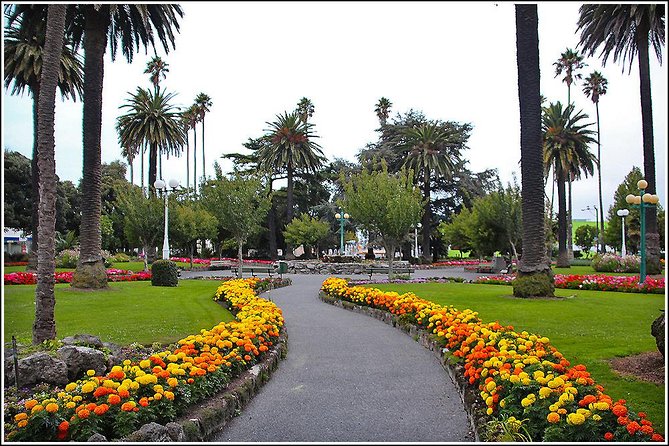 Shore Excursion: 4-Hour Discover Hawkes Bay and Napier Tour - Price and What $83.78 Covers for a Half-Day