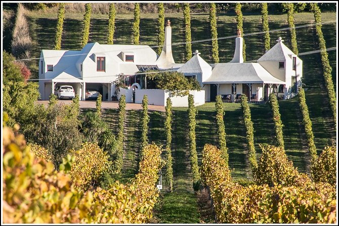 Shore Excursion: 4-Hour Discover Hawkes Bay and Napier Tour - What Can Go Wrong (and How to Choose Smart Expectations)