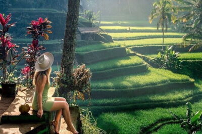 Shore Excursion Cruise Ship from Benoa and Celukan Bawang Port - Ubud: cultural heart of Bali, with temple stops and monkey-moment breaks