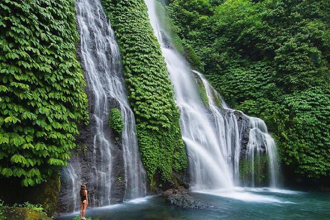 Shore Excursion Cruise Ship From Celukan Bawang Port - Stop 3: Banyumala Twin Waterfalls and a refreshing natural pool feel