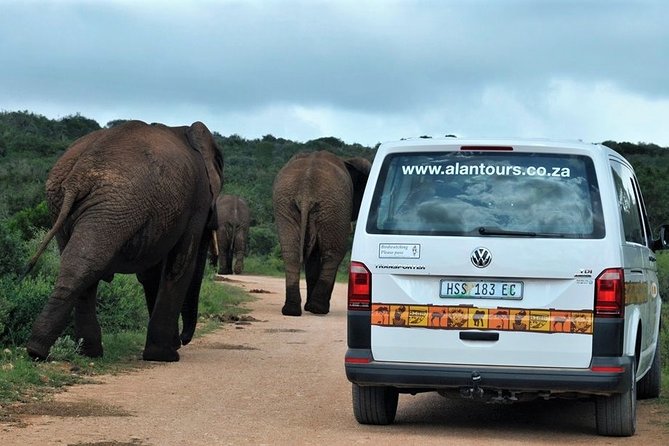 Shore Excursion Cruise Ships Port Elizabeth, Addo Elephant Park - Price and value: what you’re paying for at about $155.84