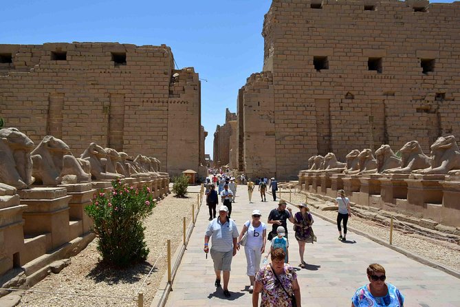 Shore Excursion: Day Tour from Safaga Port to Luxor - Price and Logistics: What $205.66 Buys You