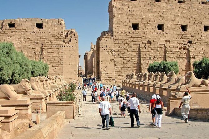 Shore Excursion: Day tour to Luxor from Safaga port - Luxor starts at 6:00am from Safaga