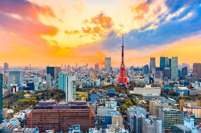 Shore Excursion: Day Trip To Tokyo From Yokohama Port - Price and value: is $287.54 per person a good deal?