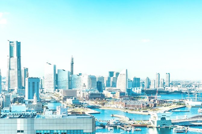 Shore Excursion: Day Trip To Tokyo From Yokohama Port - The human factor: guides, flexibility, and what to clarify