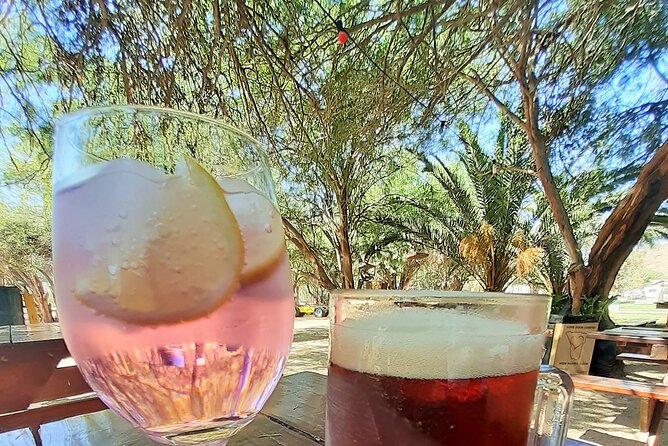 Shore Excursion - Flamingos ,Dune7,Welwitschia, Moonlandscape,Oasis,Swakopmund. - Stop 2: Goanikontes oasis stop—free entry, but lunch is on you