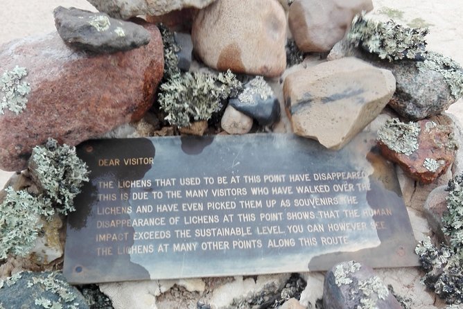 Shore Excursion - Flamingos ,Dune7,Welwitschia, Moonlandscape,Oasis,Swakopmund. - Stop 3: Welwitschia Plains—why this ancient plant is a must-see