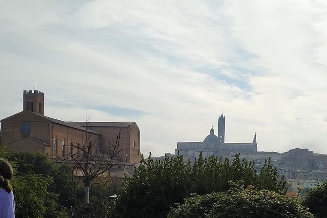 Shore excursion from Livorno to Siena and San Gimignano by private minivan - Siena Walking Time: Making the Most of Two Hours With a Local Guide