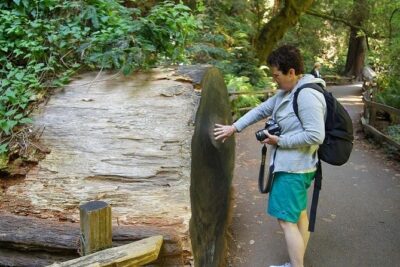 Shore Excursion from SF: Guided Tour to Muir Woods and Sausalito - Golden Gate Bridge time: views plus a photo window