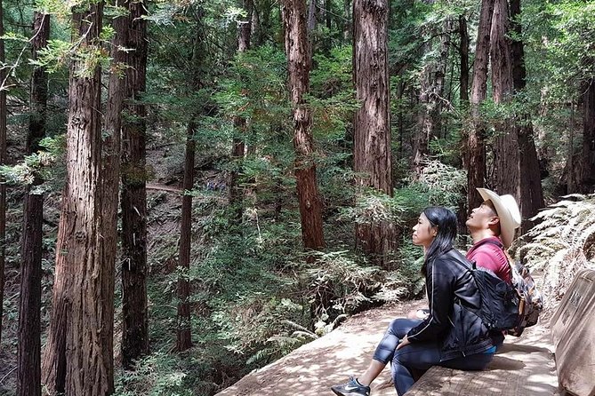 Shore Excursion from SF: Guided Tour to Muir Woods and Sausalito - Timing choices: morning vs. afternoon