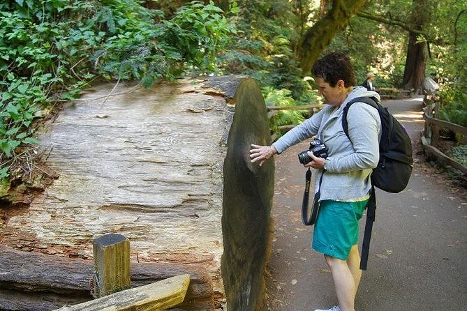 Shore Excursion from SF: Guided Tour to Muir Woods and Sausalito - Golden Gate Bridge time: views plus a photo window