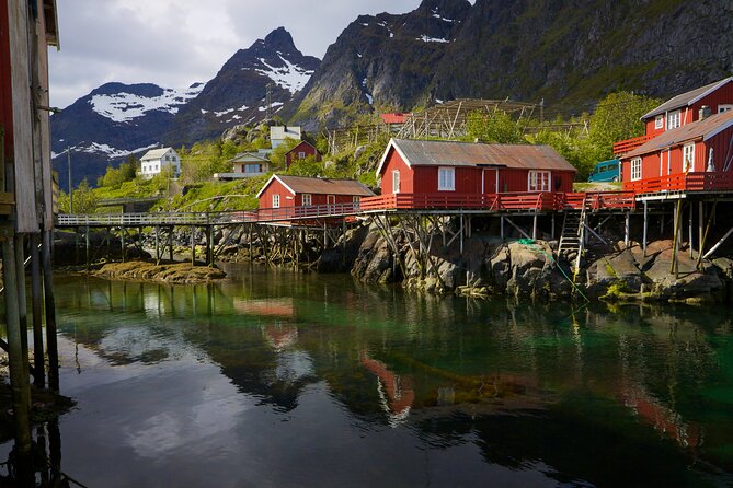 Shore Excursion Full day Private Tour in Lofoten - What You Eat Matters: Lunch Isn’t Included