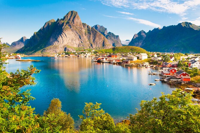 Shore Excursion Full day Private Tour in Lofoten - Gravdal Morning Pickup and Cruise-Ready Timing