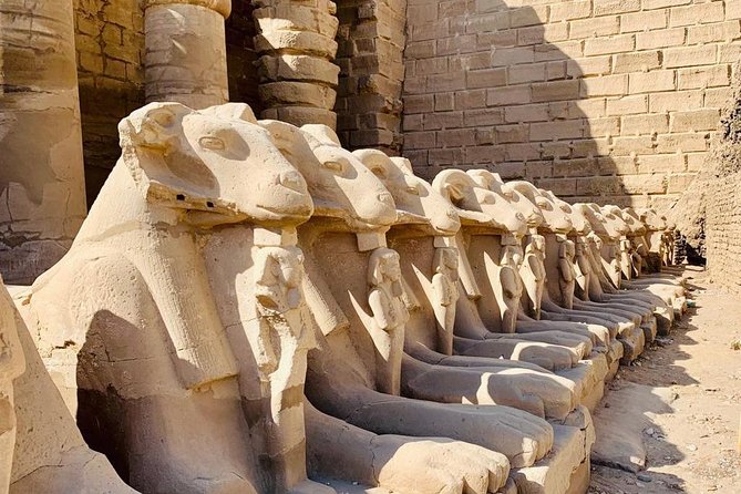 Shore Excursion - Luxor one day tour from Safaga Port - Logistics at Safaga Port: the one part you should take seriously