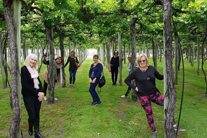 Shore Excursion Marlborough Wine Region Tour from Picton - How Guides Make or Break a Wine Day
