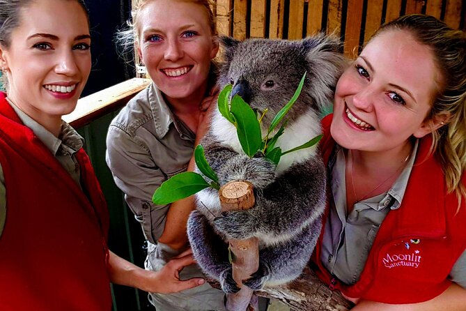 Shore Excursion Melbourne, Sights, Kangaroos, Koalas Lunch & Wine - Who Should Book This Mornington Peninsula Shore Excursion?
