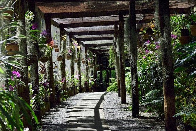 Shore Excursion-Nadi Mudpools,Sleeping Giants Gardens,Markets, Temple & Shopping - Lautoka Market: start with local color and real conversations