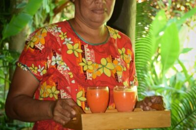 Shore Excursion-Nadi Mudpools,Sleeping Giants Gardens,Markets, Temple & Shopping - Sabeto Hot Springs and Mud Pools: the messy part you’ll remember