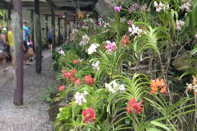 Shore Excursion-Nadi Mudpools,Sleeping Giants Gardens,Markets, Temple & Shopping - FAQ