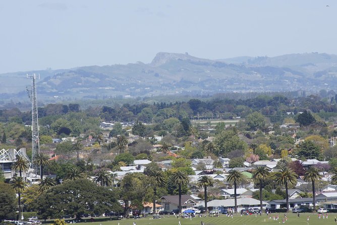 Shore Excursion: Napier and Surrounding Countryside Scenic Tour - Napier in three hours: what you really get