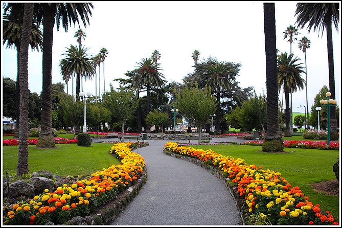 Shore excursion - Napier sight seeing/Art Deco Tour, - Key highlights I’d bet on