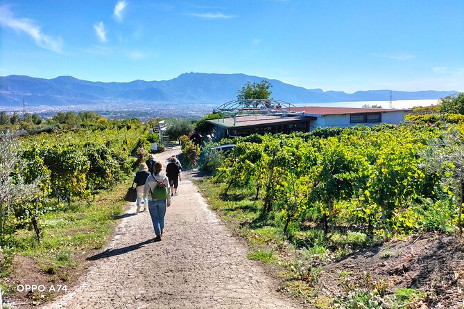 Shore excursion Naples city tour, Pompeii & Winery Cantina del Vesuvio - Price and value: what $306.46 covers, and what costs extra