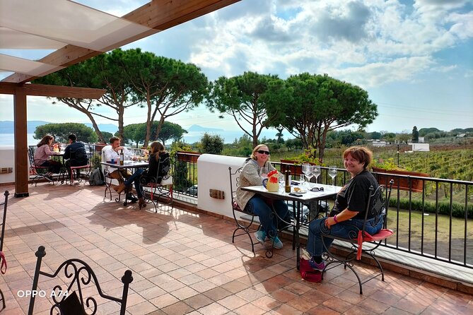Shore excursion Naples city tour, Pompeii & Winery Cantina del Vesuvio - Should you book this Naples city tour with Pompeii and Cantina del Vesuvio?