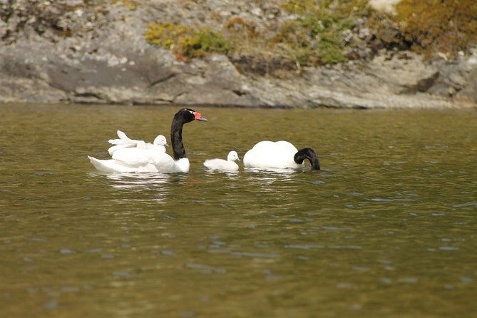 Shore Excursion - National Park Tierra del Fuego - Who should book this tour from Ushuaia?