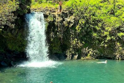 Shore Excursion of Maui - Meeting point: the 8:00 am start that keeps you on track