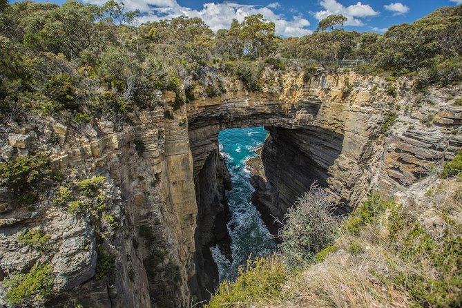 Shore Excursion - Port Arthur - Tasman Peninsula - Tasman National Park: Devils Kitchen and Tasman Arch up close