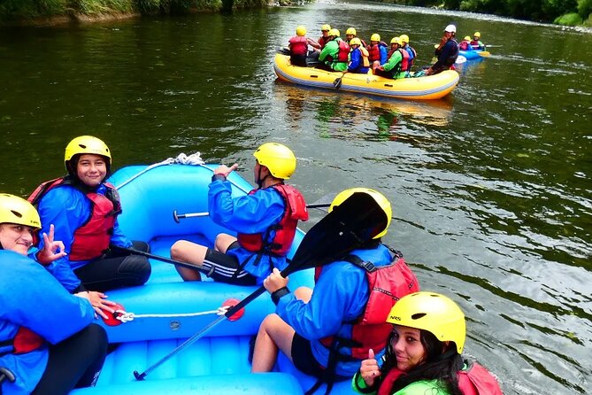 Shore Excursion: Scenic Rafting from Napier - Why the Mohaka River rafting works so well from Napier